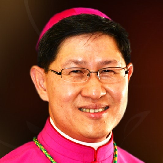 S.-Em.za-Rev.ma-Card.-Luis-Antonio-Gokim-Tagle.jpg