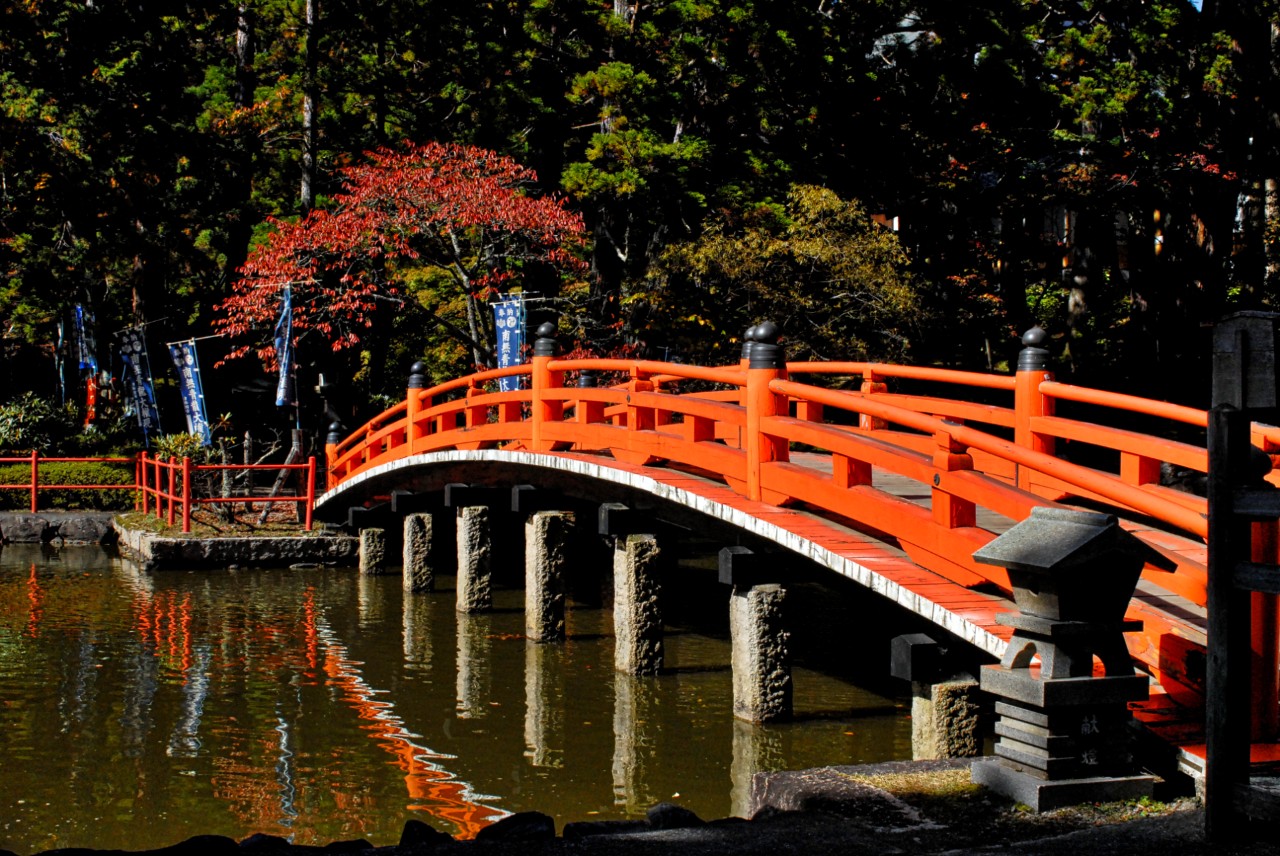 Studi Transregionali sull' Asia 