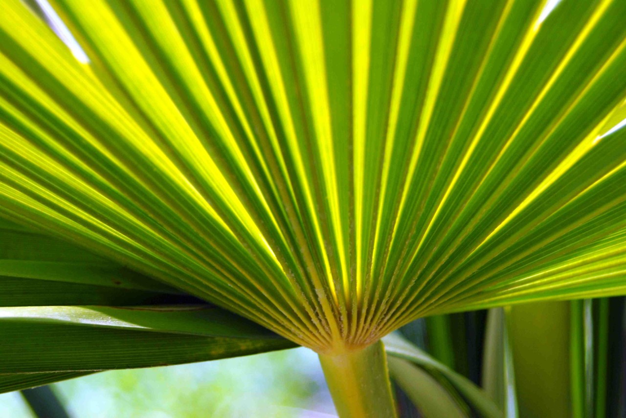 Catalogazione Fondo cinese e asiatico Lionello Lanciotti