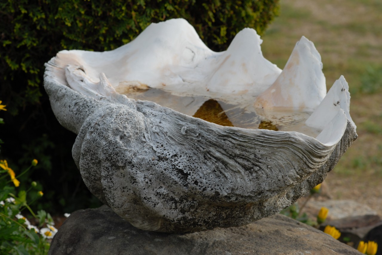 Tirocinio presso il Centro Studi Cinesi e Asiatici